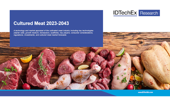 Carne cultivada 2023-2043